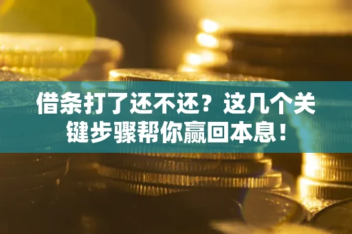 济南借条打了还不还？这几个关键步骤帮你赢回本息！