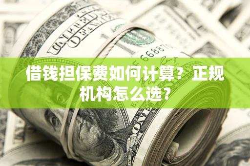济南借钱担保费如何计算？正规机构怎么选？