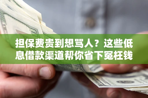 济南担保费贵到想骂人？这些低息借款渠道帮你省下冤枉钱