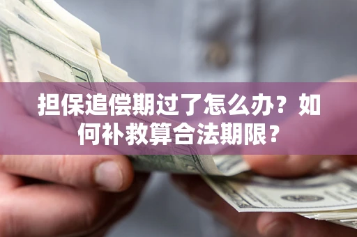 济南担保追偿期过了怎么办？如何补救算合法期限？