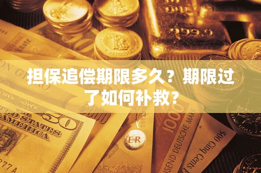 济南担保追偿期限多久？期限过了如何补救？