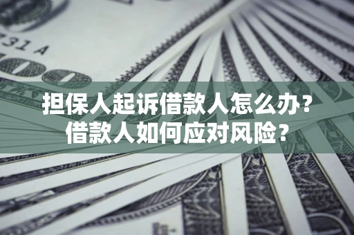 济南担保人起诉借款人怎么办？借款人如何应对风险？