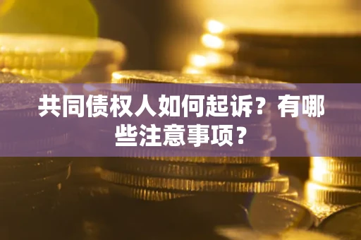济南共同债权人如何起诉？有哪些注意事项？